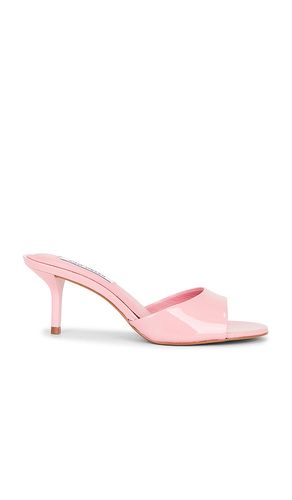 Kendrix Sandal in . Size 6. Also in 6.5, 7.5, 8, 8.5, 9.5 - Steve Madden - Modalova