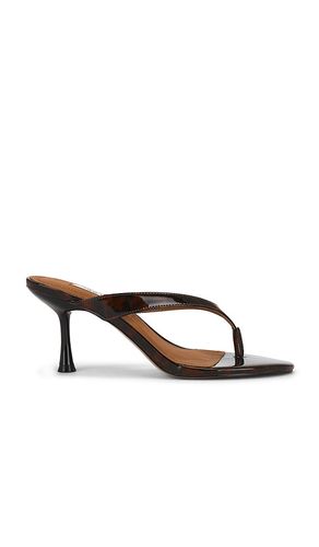 Faroh Sandal in . Size 8.5. Also in 9.5 - Steve Madden - Modalova