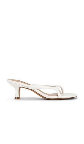 Brienna Sandal in . Size 6. Also in 7.5, 10 - Steve Madden - Modalova
