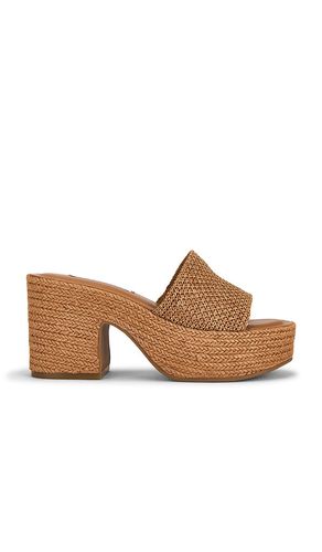 Trippy Platform Sandal in . Size 8. Also in 8.5, 11 - Steve Madden - Modalova