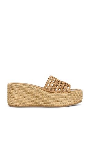 Brandy Sandal in . Size 8.5. Also in 9, 9.5, 10 - Steve Madden - Modalova
