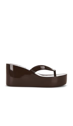 Jella Sandal in . Size 8. Also in 9 - Steve Madden - Modalova