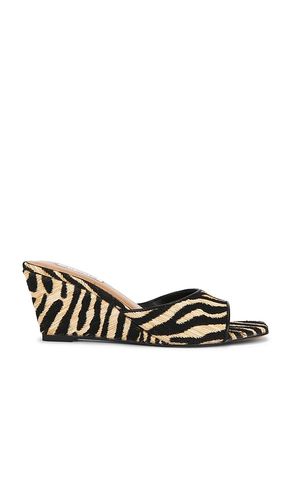 Seleste Sandal in ,. Size 5.5. Also in 6, 8.5 - Steve Madden - Modalova