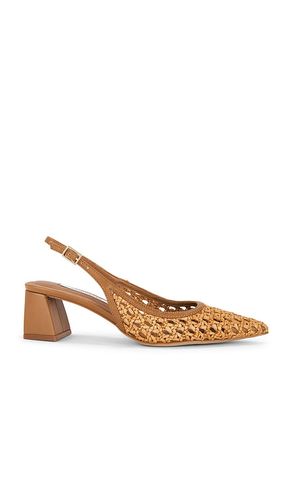 Robyn Pump in . Size 6. Also in 6.5, 8.5 - Steve Madden - Modalova