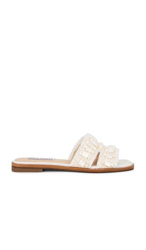 Hadyn Self Sandal in . Size 6. Also in 6.5, 7.5, 8.5, 9.5, 10 - Steve Madden - Modalova