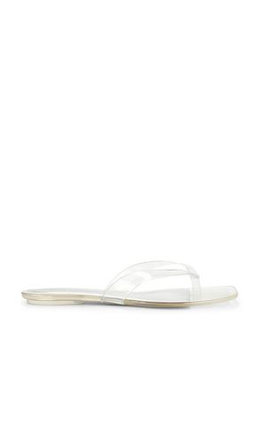 Trella Sandal in . Size 6. Also in 7, 9 - Steve Madden - Modalova