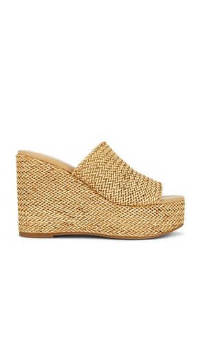 Cassi Sandal in . Size 8.5. Also in 9.5, 10 - Steve Madden - Modalova