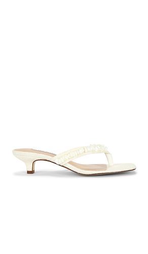 Tracie Shell Sandal in . Size 6. Also in 6.5, 7, 7.5, 8, 11 - Steve Madden - Modalova