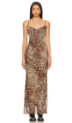 Dexi Maxi Dress in . Taglia XXS - superdown - Modalova