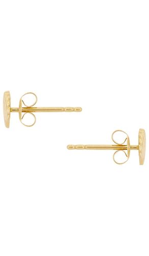 Scallop Shell Earrings in - STONE AND STRAND - Modalova