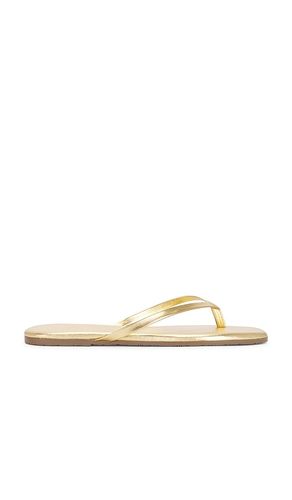 Square Toe Lily Sandal in . Size 6. Also in 7, 9 - TKEES - Modalova