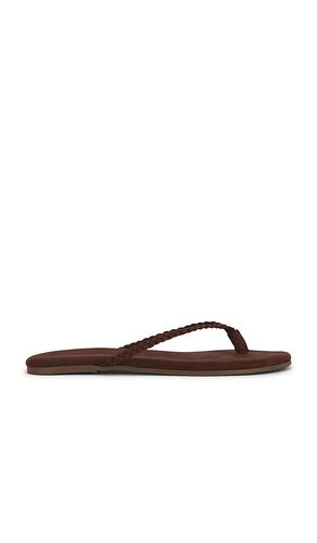 Lily Braid Sandal in . Size 7. Also in 8, 9, 10 - TKEES - Modalova