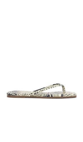 Square Toe Lily Sandal in . Size 7. Also in 8, 9 - TKEES - Modalova