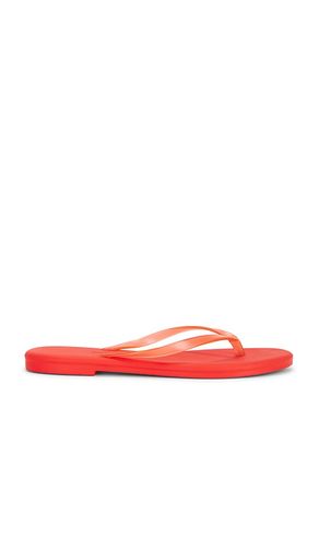 Aqua Flip Flops in . Size 5. Also in 6, 7 - TKEES - Modalova