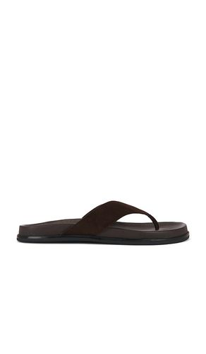 Loop Flip Flop in . Size 37. Also in 36, 40 - Tony Bianco - Modalova