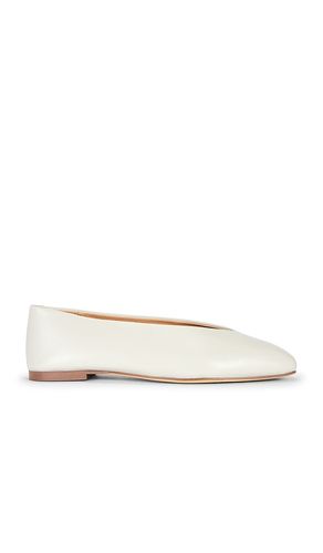 Brash Ballet Flat in . Size 6. Also in 6.5, 7, 7.5, 8, 8.5, 9 - Tony Bianco - Modalova