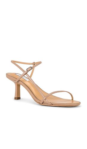 Caprice Heel in . Size 6. Also in 5, 7, 7.5, 8.5 - Tony Bianco - Modalova