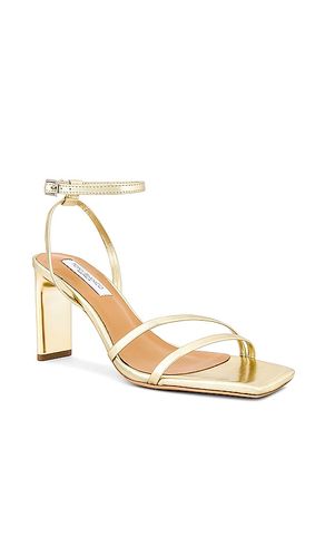 Corso Heel in . Size 6. Also in 5.5, 7, 10 - Tony Bianco - Modalova