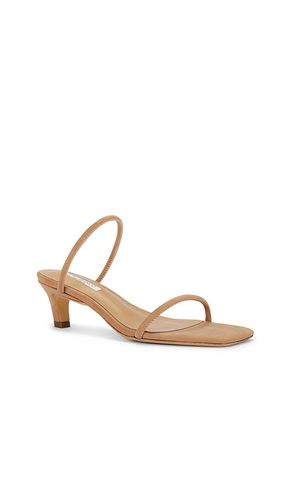 Tash Sandal in . Size 6. Also in 6.5 - Tony Bianco - Modalova
