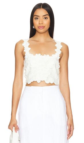 Kimmy Top in . Size M. Also in L, XL - Tularosa - Modalova