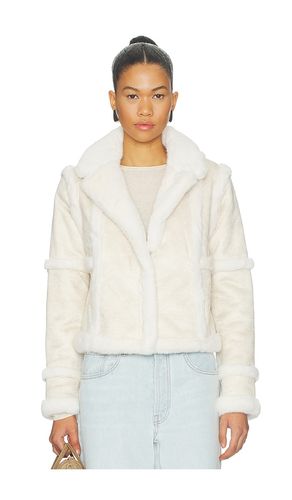 Talamasca Jacket in . Size L. Also in XS - Unreal Fur - Modalova