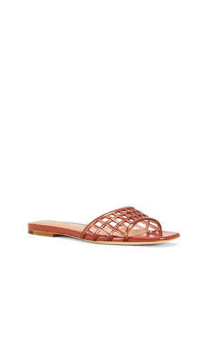 Maris Jelly Sandal in . Size 6.5. Also in 8 - Veronica Beard - Modalova