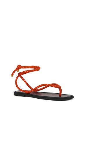 Carmina Cord Sandal in . Size 5. Also in 7, 8 - Veronica Beard - Modalova