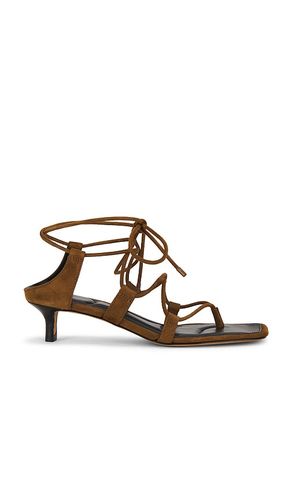 Paulette Sandal in . Size 7. Also in 7.5, 8 - Vince - Modalova