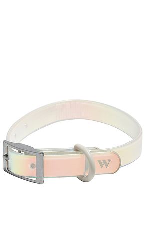 Collar in color blue size all - Wild One - Modalova