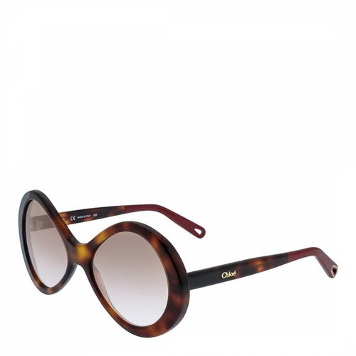Women's Havana Sunglasses 55mm - Chloe - Modalova