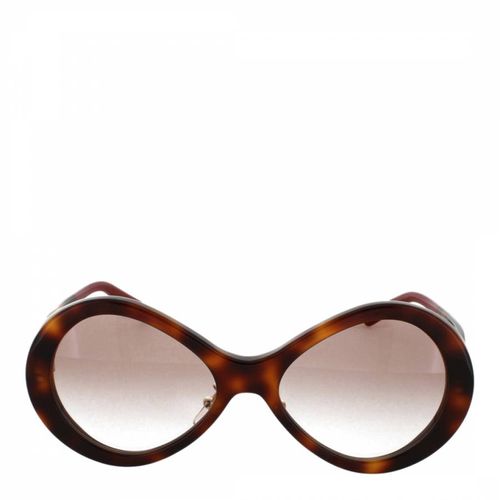 Women's Havana/Gradient Sunglasses 55mm - Chloe - Modalova