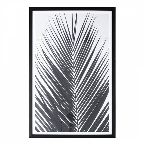 Monochrome Palm 91x61cm Framed Art - Gallery Living - Modalova