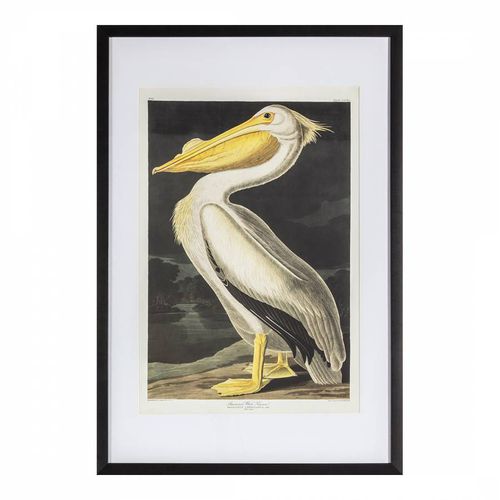 Inquisitive Pelican 91x61cm Framed Art - Gallery Living - Modalova