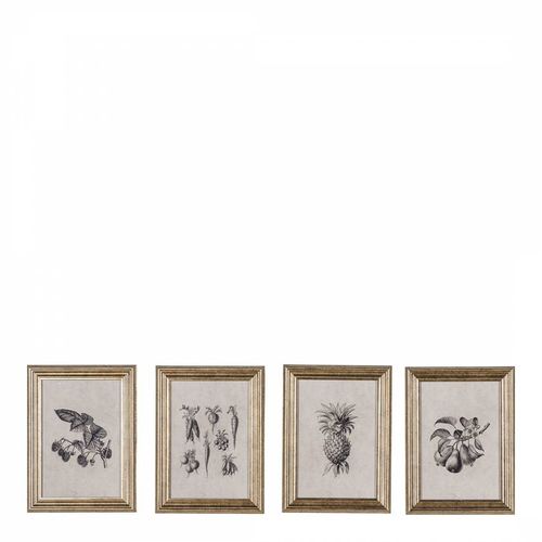 Set of 4 Allotment Studies Framed Art - Gallery Living - Modalova