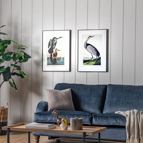Set of 2 Exotic Fowl Study 70.5x50.4cm Framed Art - Gallery Living - Modalova
