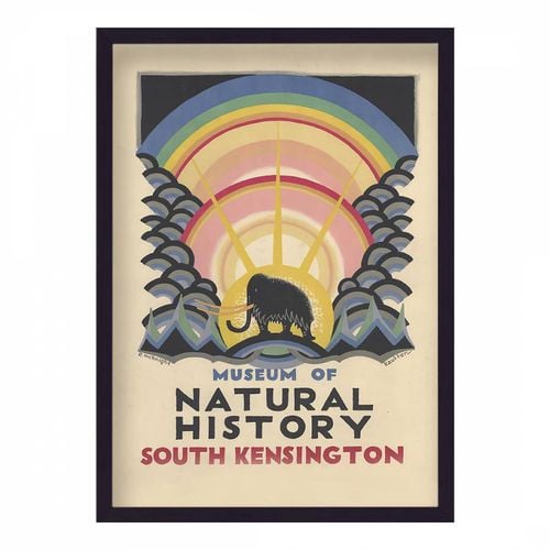 Museum Of Natural History South Kensington 44x33cm Framed Print - Vintage Travel Posters - Modalova