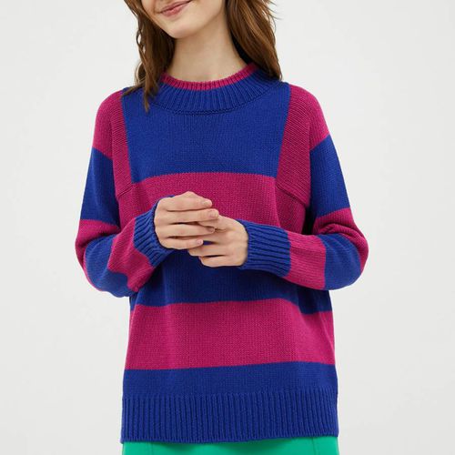 Blue/Pink Bea Stripe cotton Jumper - Max&Co. - Modalova