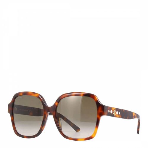 Women's Havana Brown Sunglasses 55mm - Jimmy Choo - Modalova