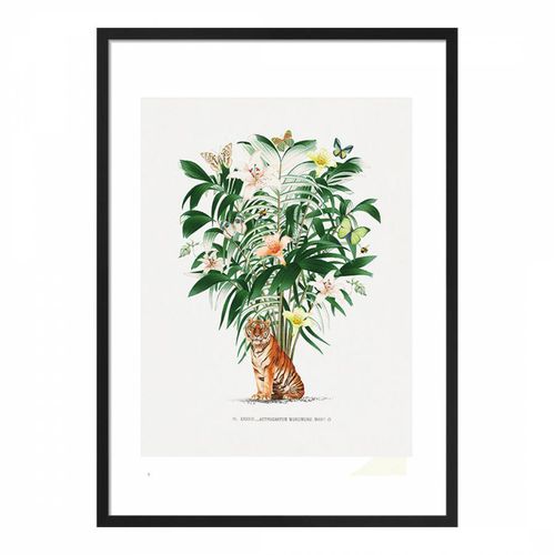 Tiger Palm Framed Print 50 x 40cm - Summer Thornton - Modalova