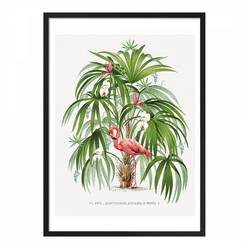 Flamingo Palm 50x40cm Framed Print - Summer Thornton - Modalova