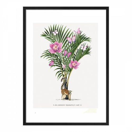 Lemur Palm - Summer Thornton - Modalova