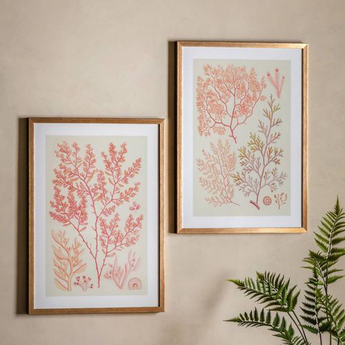 Coral Bounty 1& 11 70x50cm Set of 2 Framed Prints - Art Marketing by Gallery - Modalova