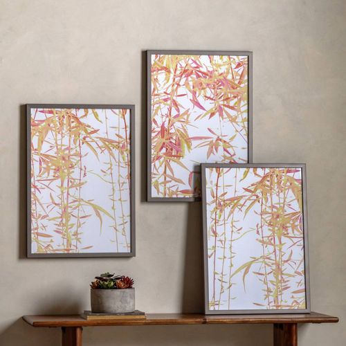 Bamboo Triptych 70x50cm Framed Print - Art Marketing by Gallery - Modalova