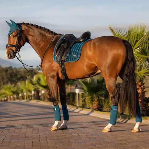 Blue Loire Classic Dressage Square - LeMieux - Modalova