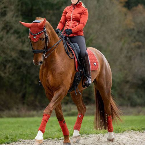 Loire Classic Dressage Square - LeMieux - Modalova