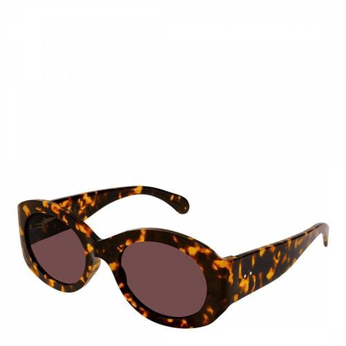 Womens Havana Sunglasses 53mm - Alaia - Modalova