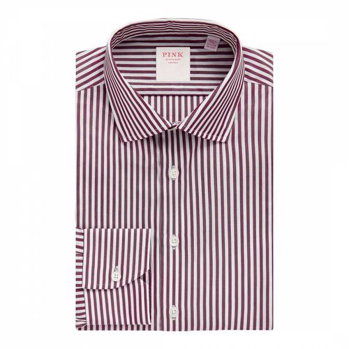 Bengal Stripe Tailored Fit Cotton Shirt - Thomas Pink - Modalova