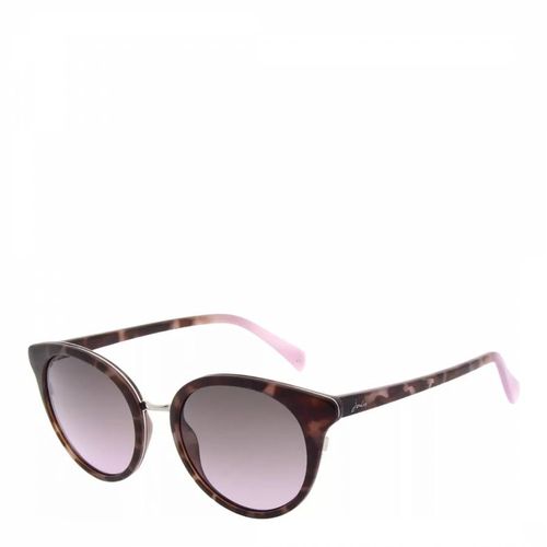 Women's Brown Sunglasses 52mm - Joules - Modalova