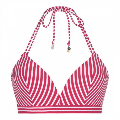 Stripe Padded Triangle Bikini Top - LingaDore - Modalova