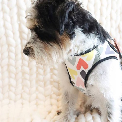 Large Multi Heart Dog Harness - Caroline Gardner - Modalova